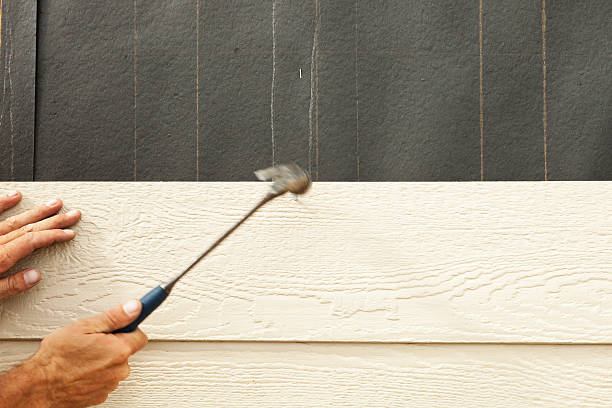 Best Steel Siding Installation  in Jasonville, IN